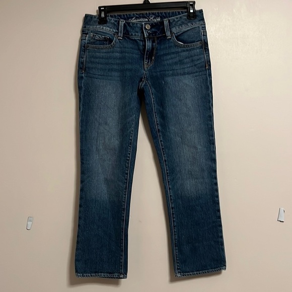 American Eagle Next Level Low-Rise Artist Crop Jean Size 2 - Picture 1 of 9